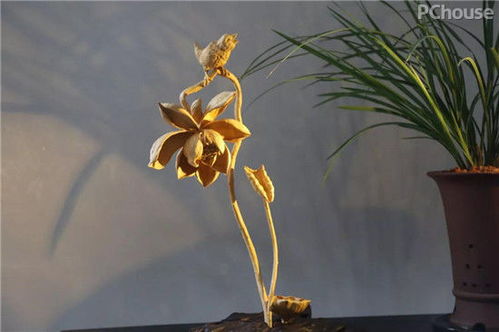 廣州看展靈感 精選軟裝與景觀工程，家居設(shè)計(jì)瞬間提升高級感